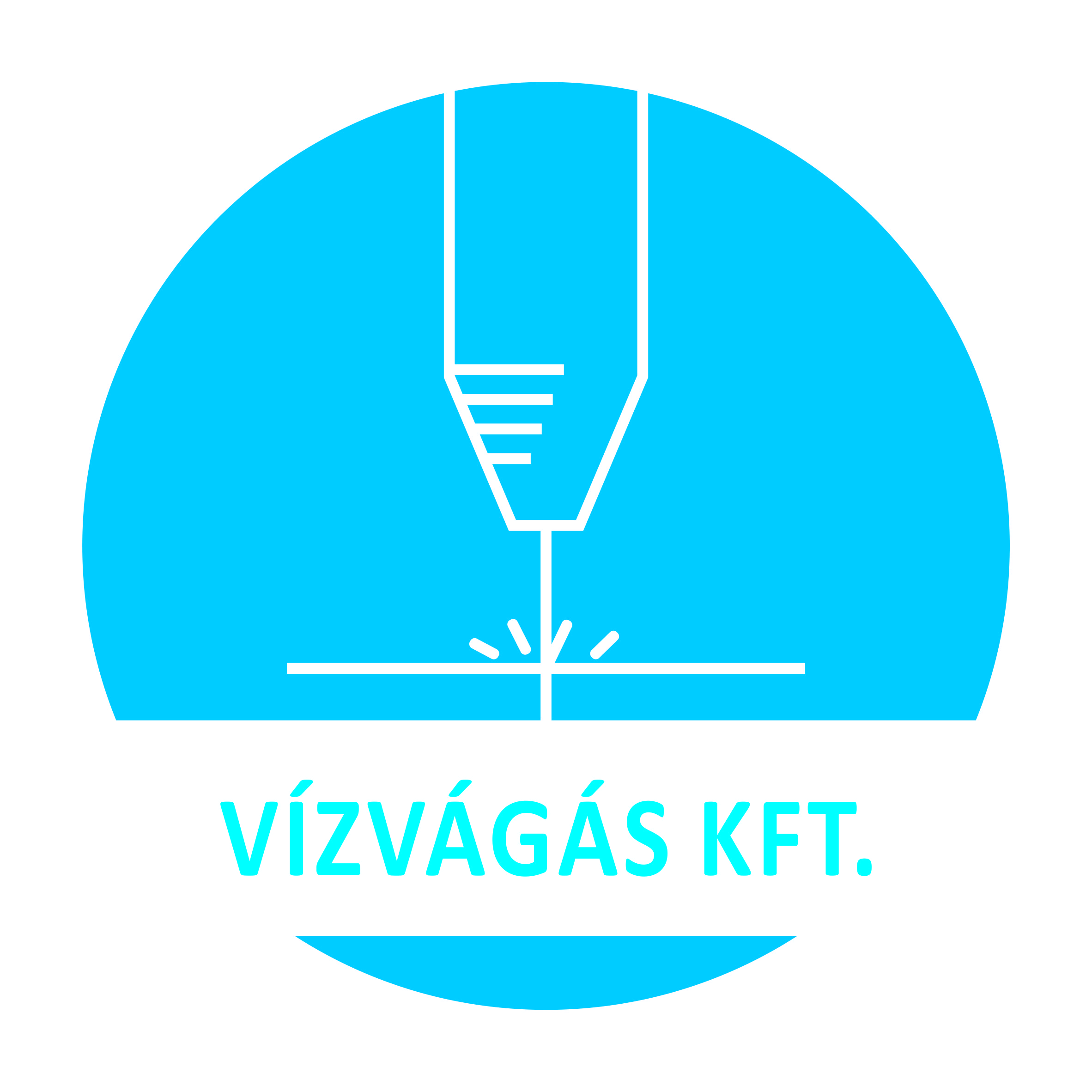vizvagas kft (2)
